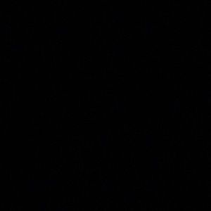 Meet your Posher, Max